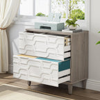 2-Drawer Lateral File Cabinet