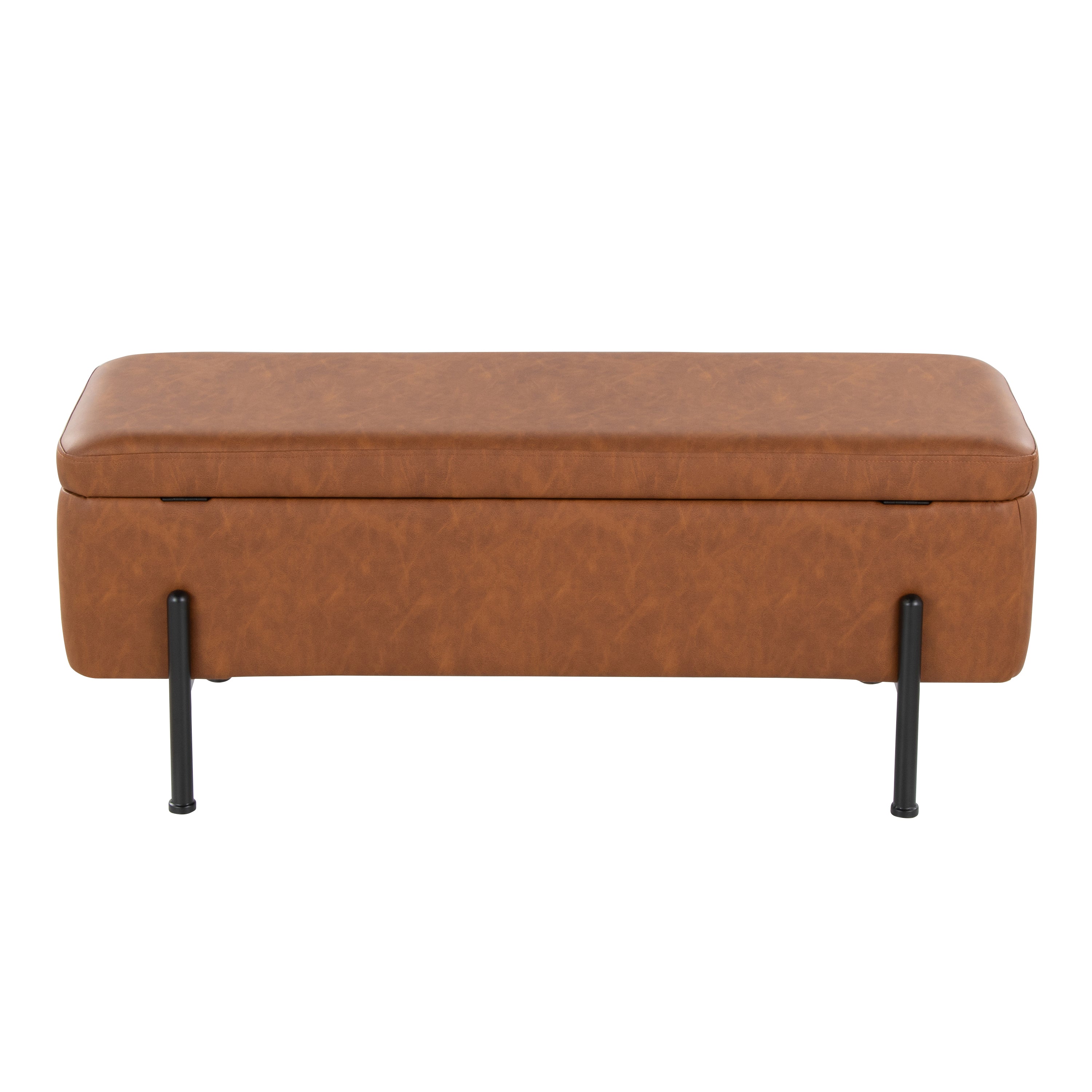 Daniella Contemporary Storage Bench