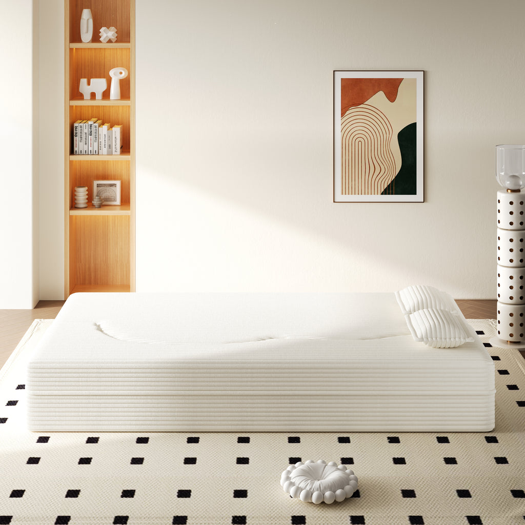 Modern Floor Sofa with 2 Pillows