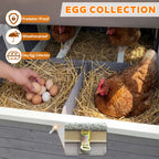 150" Extra Large Chicken Coop