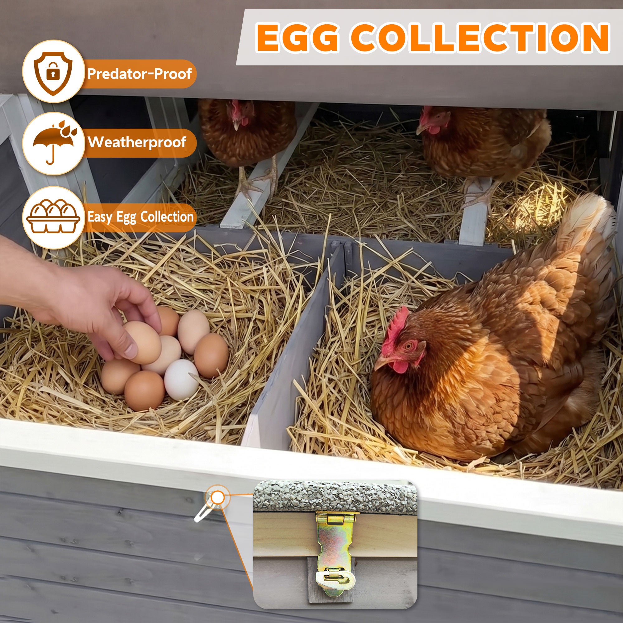 150" Extra Large Chicken Coop