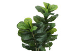 41" Tall Artificial Fiddle Tree - Faux Indoor Plant
