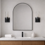 Zephyr Single Light Sconce With Clear Glass Metal