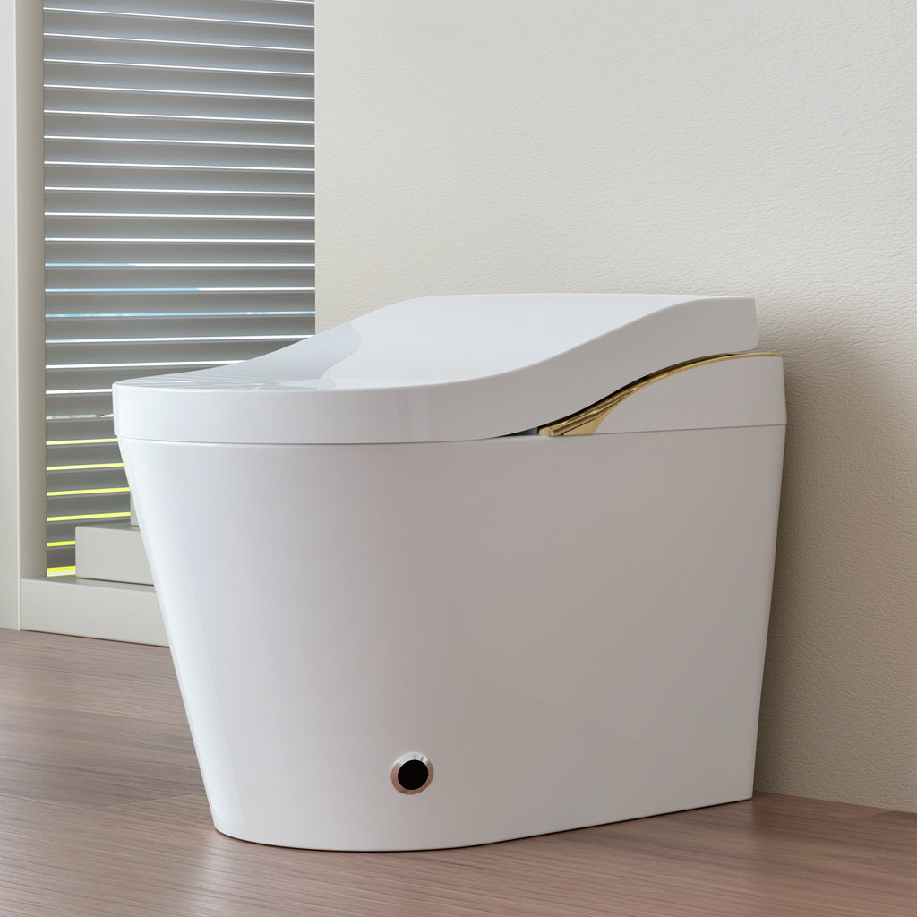 Modern Smart Toilet With Bidet and Auto Features