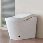 Modern Smart Toilet With Bidet and Auto Features