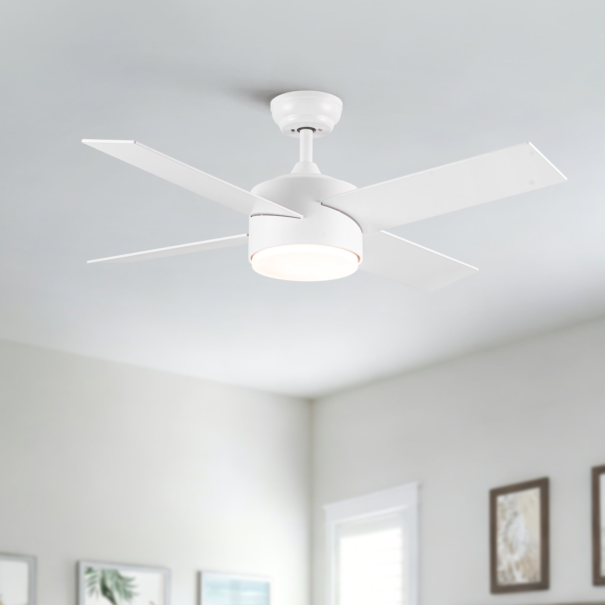 44" Ceiling Fan with Lights & Remote - Matte Finish