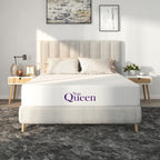 NapQueen 6-Inch Twin XL Memory Foam Mattress