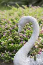 16.5x9x15.5" Mgo Swan Planter