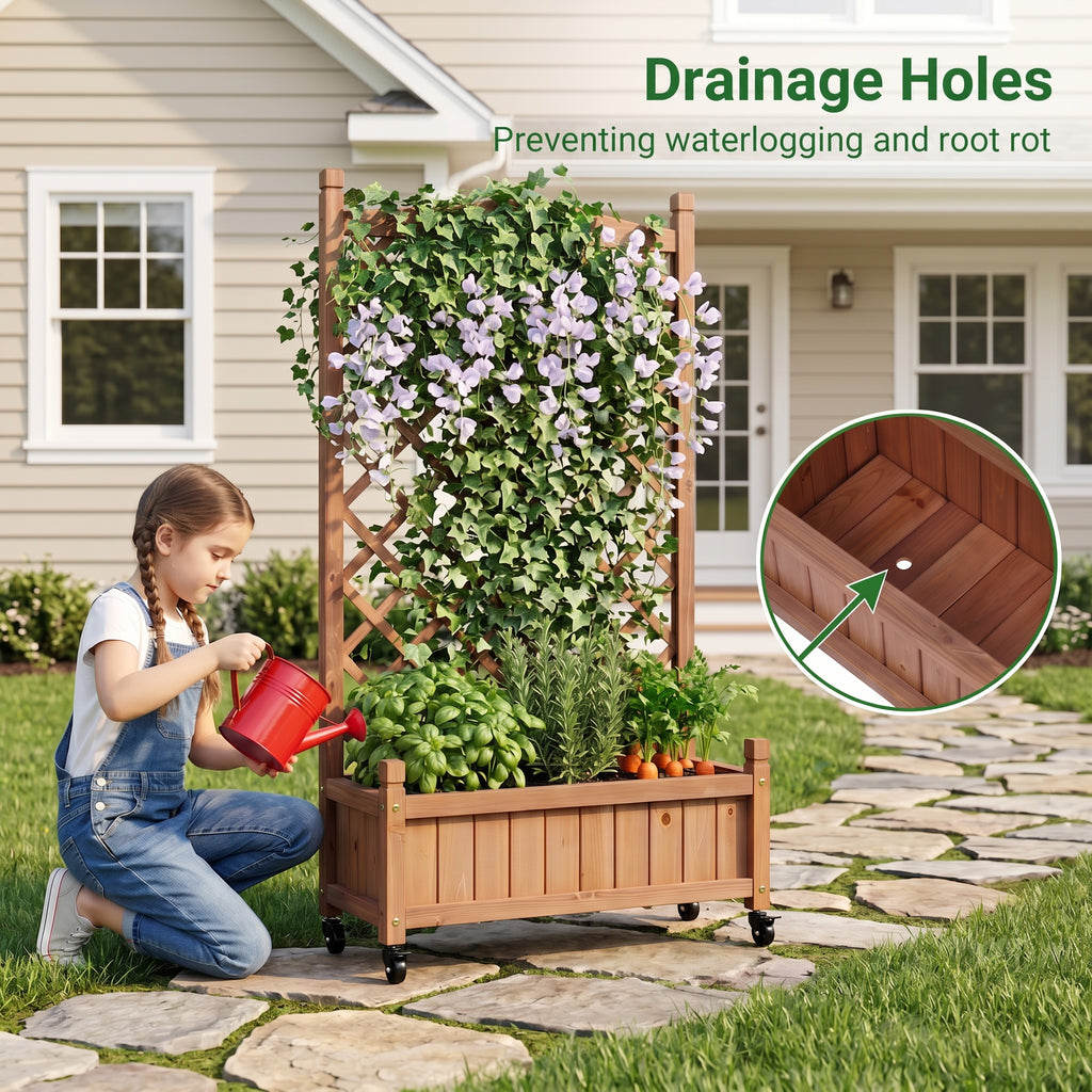Raised Garden Bed with Trellis 2 Pack