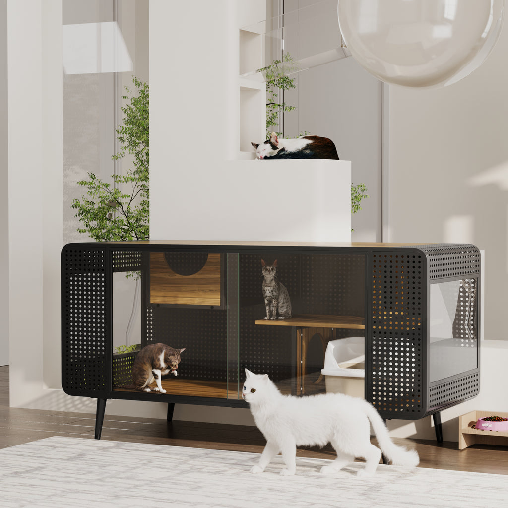 Spacious Cat House with Tempered Glass