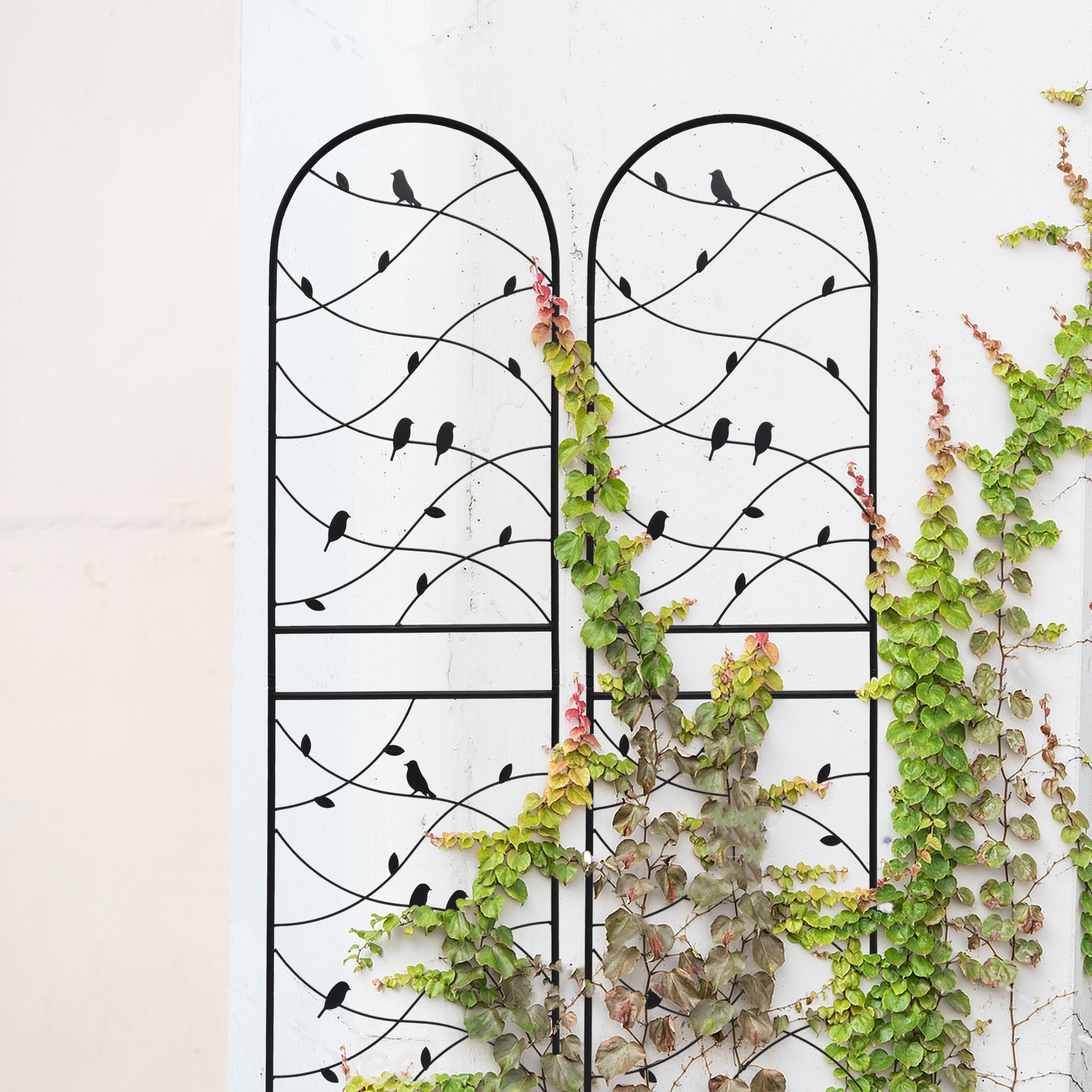 2 Pack Metal Garden Trellis 71" x 19.7"