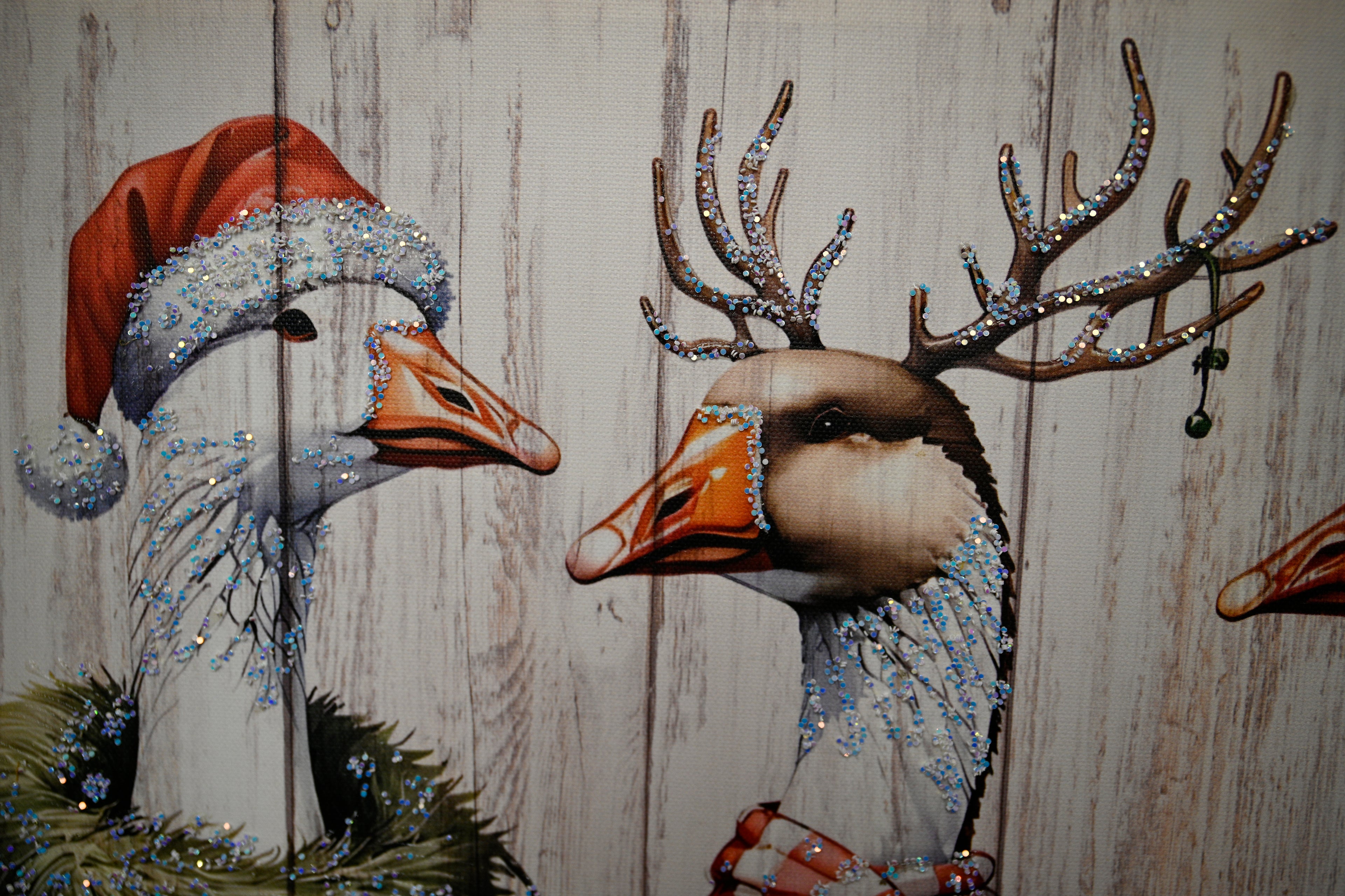 Framed Vintage Duck Wall Art Print