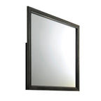Carine Vanity & Dresser Mirror