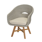 Outdoor Dining Arm Chair with Cushion, Set of 2