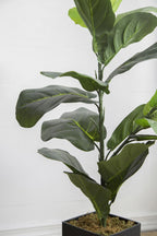 20" x 16" x 35" Artificial Fiddle-Leaf Fig Potted Plant