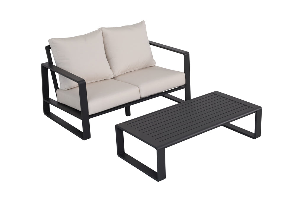 Double Sofa + Rectangular Coffee Table Set