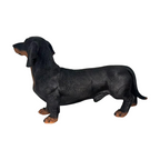26 Inch Black and Tan Dachshund Statue
