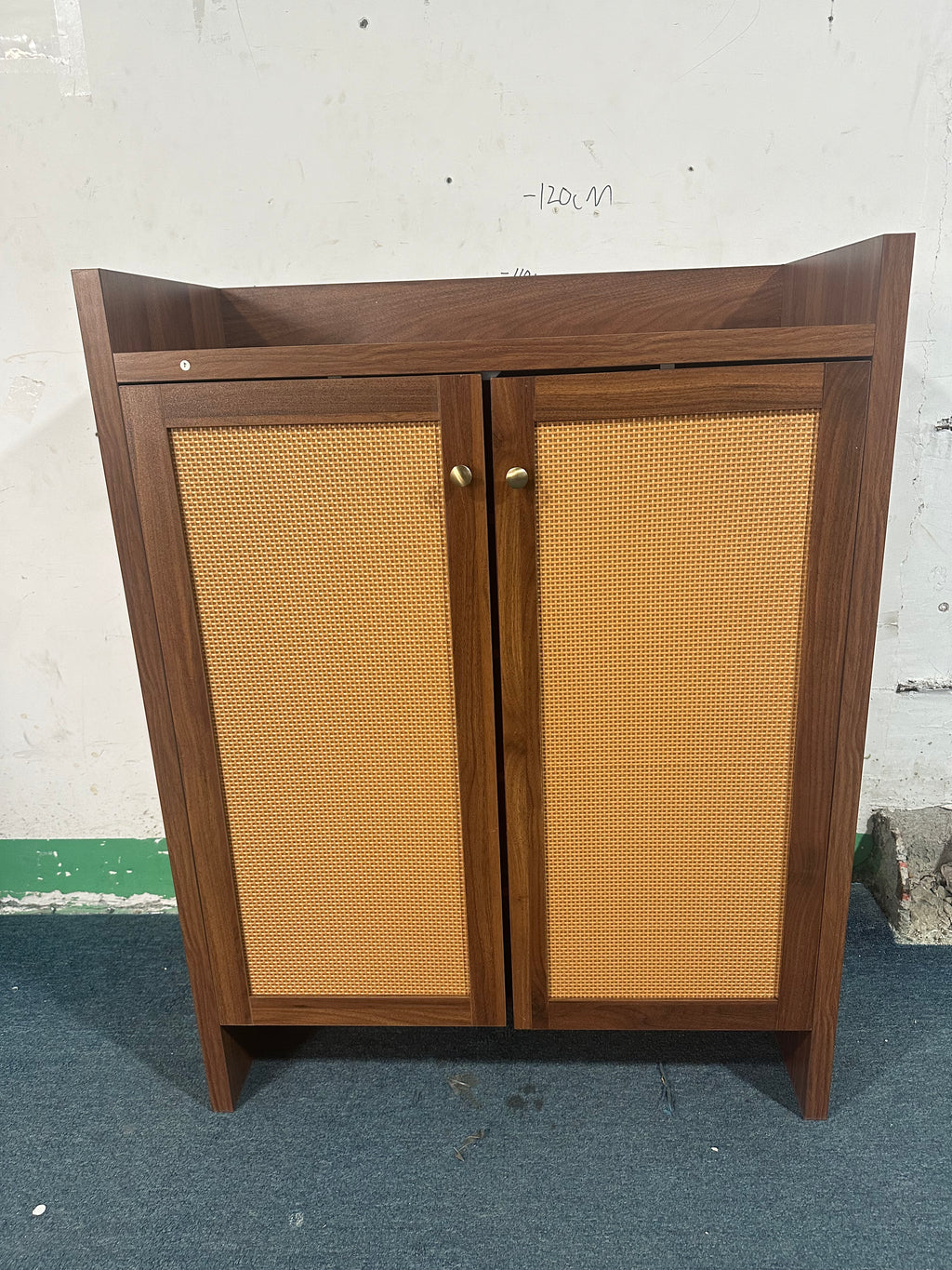 42.5" Tall Rattan Shoe Cabinet with Doors