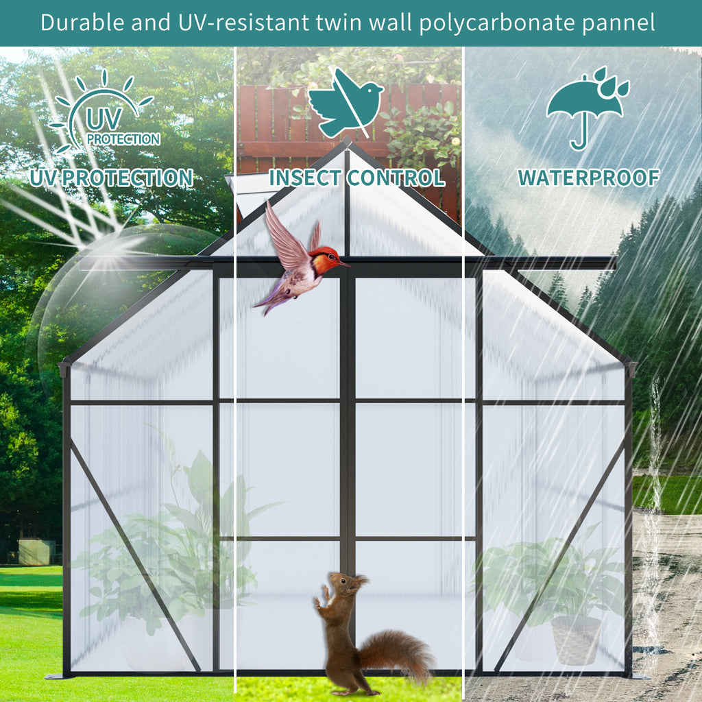 8X6FT Black Double Door Polycarbonate Greenhouse