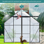8X6FT Black Double Door Polycarbonate Greenhouse