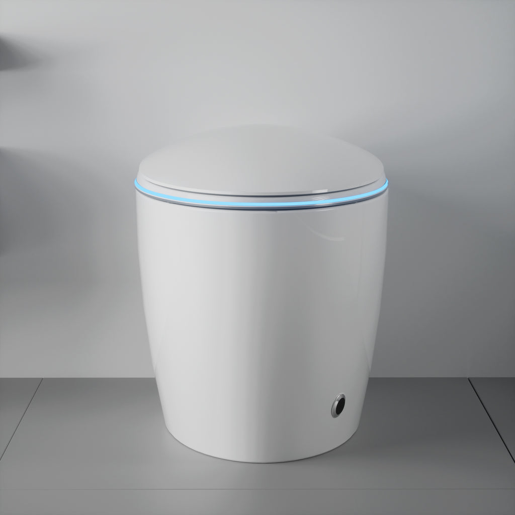 Unique Smart Toilet with Built-In Bidet