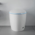 Unique Smart Toilet with Built-In Bidet