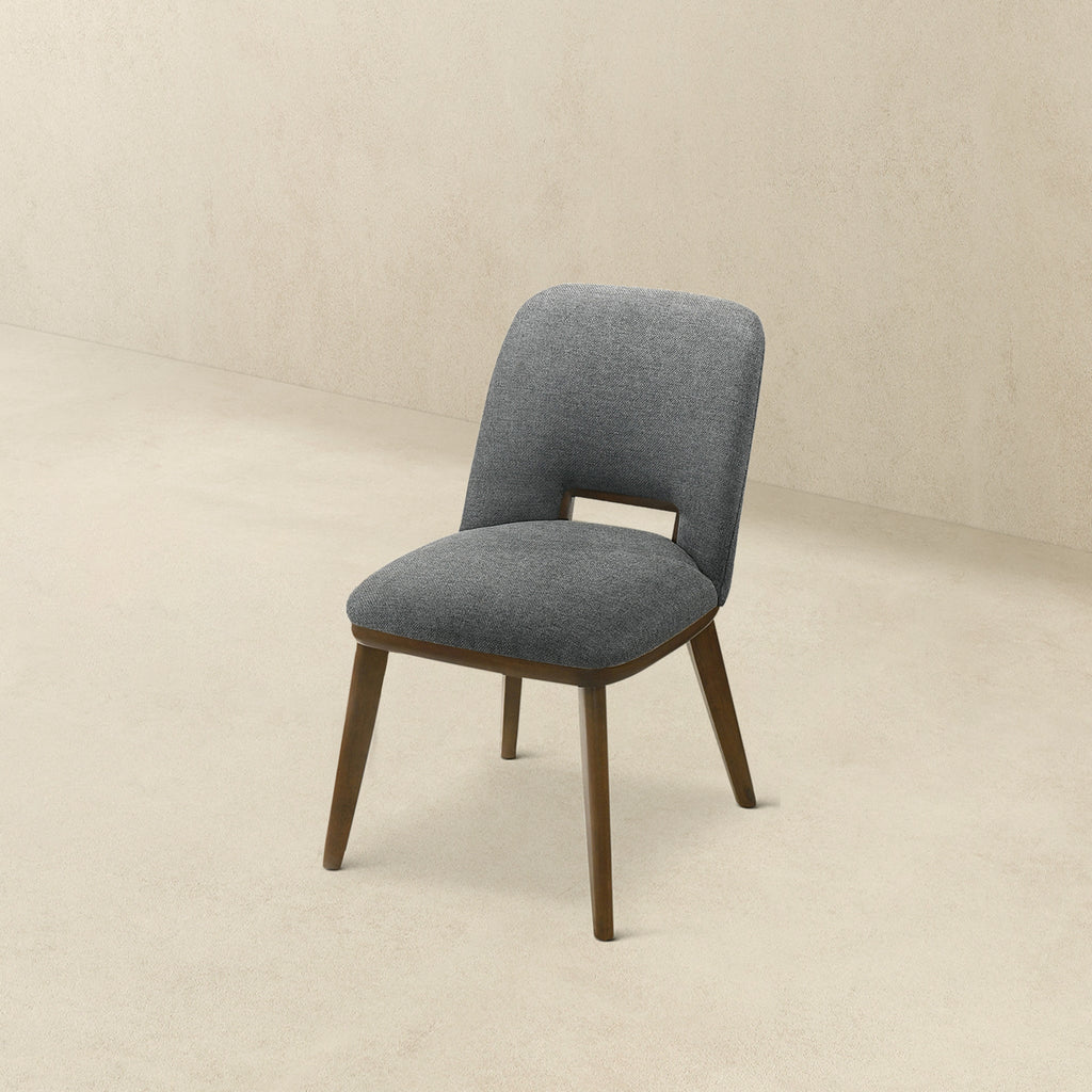 Modern Blake Dark Dining Chairs - Set of 2