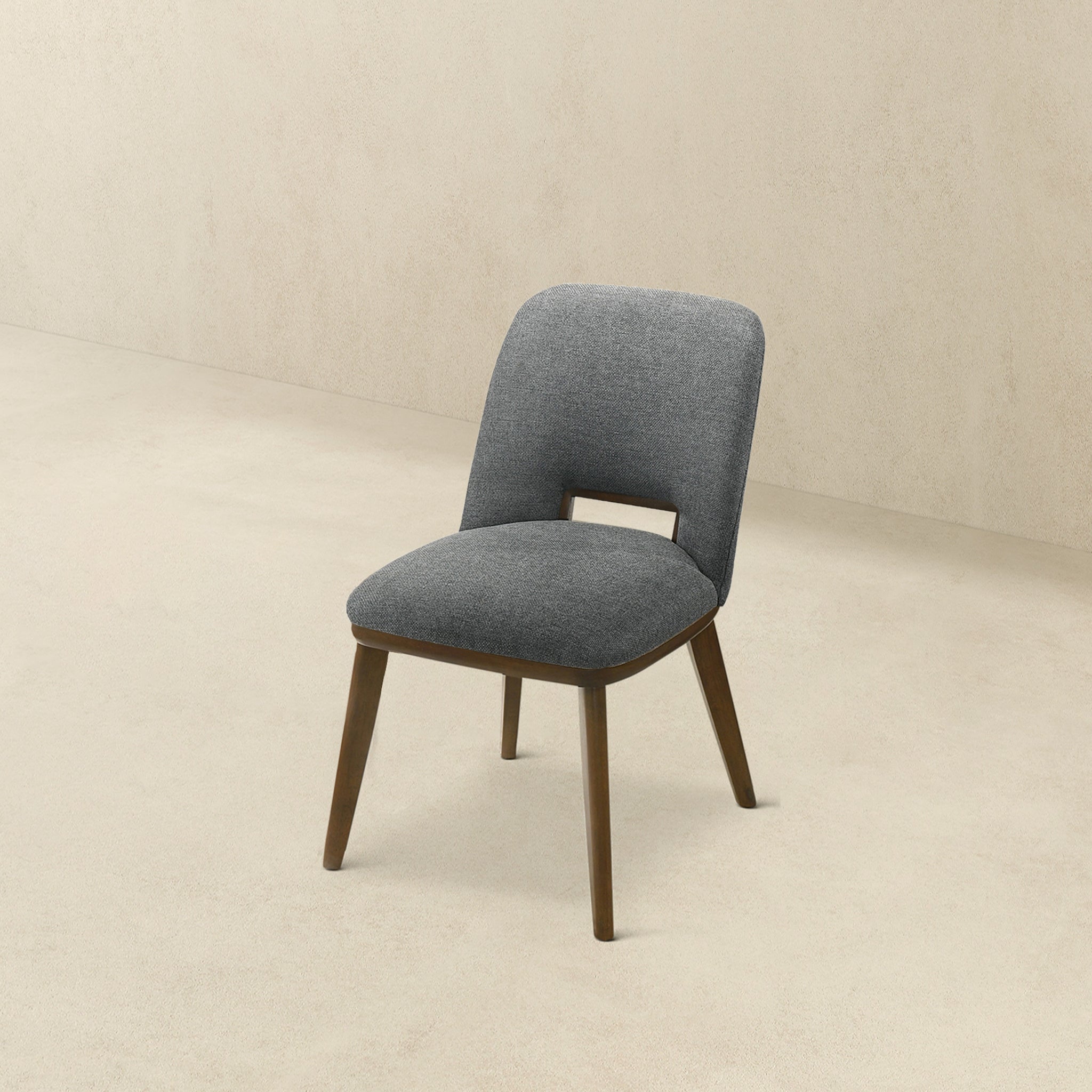 Modern Blake Dark Dining Chairs - Set of 2