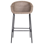 Ladd Outdoor Metal Wicker Barstool