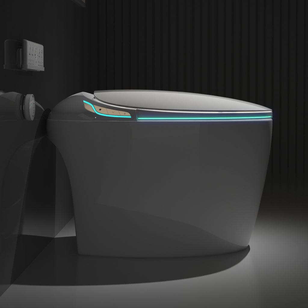 Unique Smart Toilet with Built-In Bidet