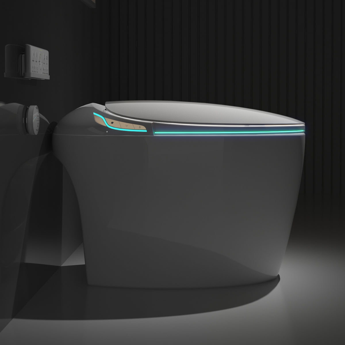 Unique Smart Toilet with Built-In Bidet