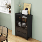 Storage Cabinet With 4 Iron Doors