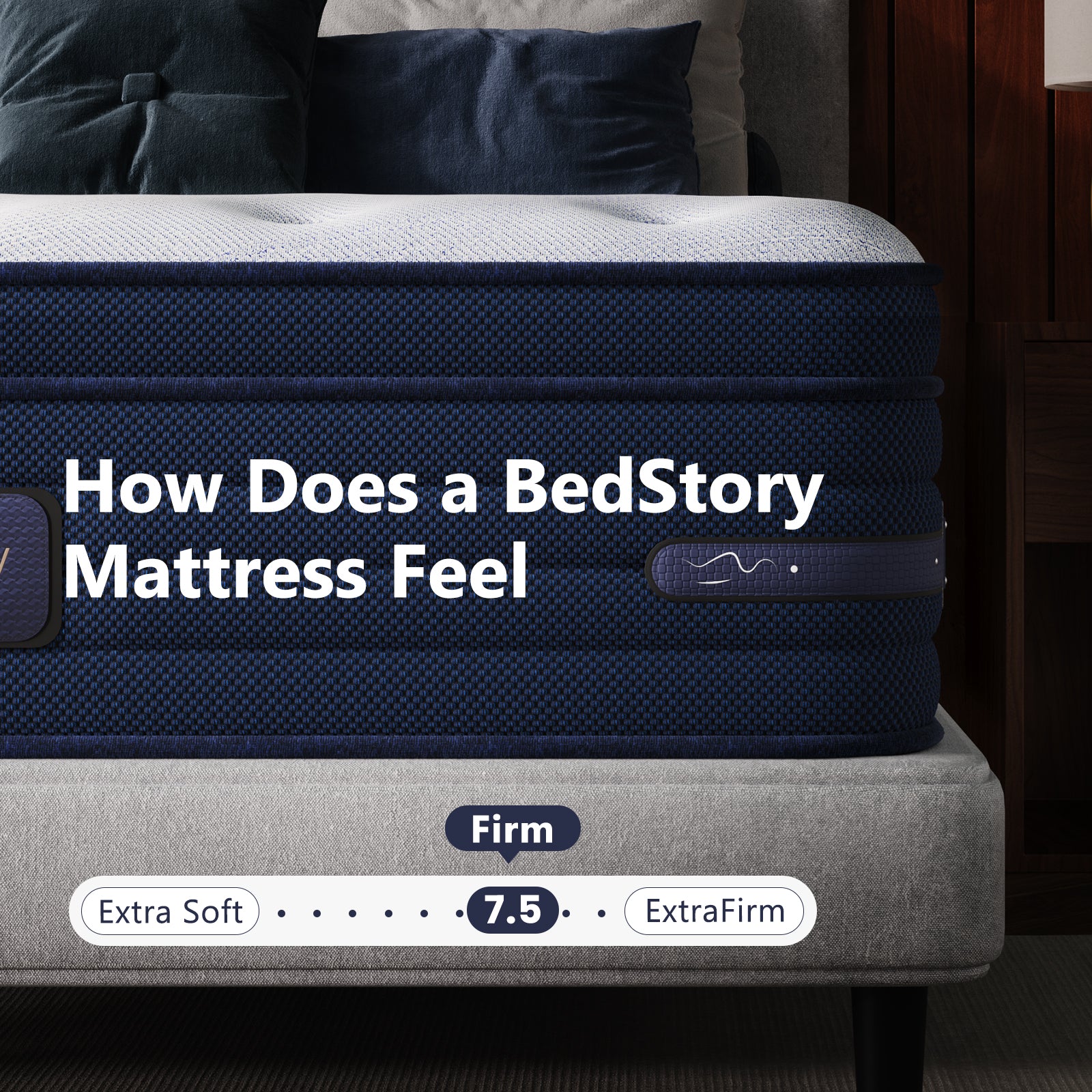 Bedstory Spine Align Pro 14" Twin Firm Mattress