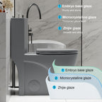 1.1/1.6 GPF Tornado Flush One-Piece Toilet