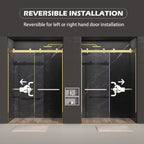 Dual Sliding Frameless Shower Door