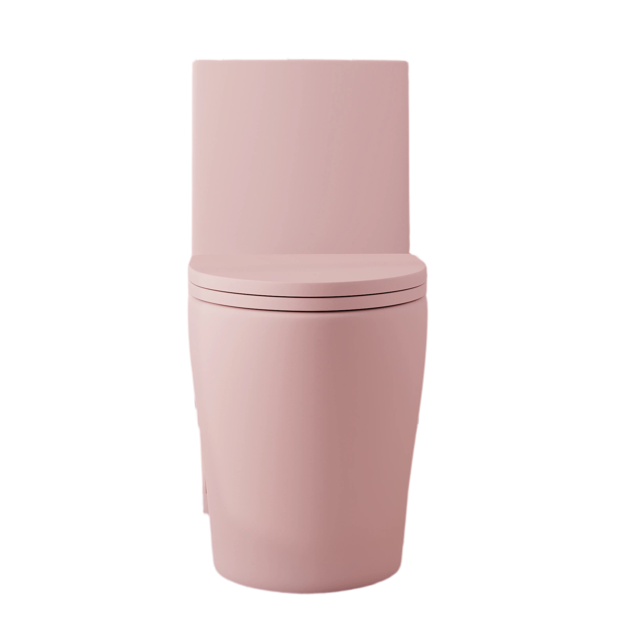 Tornado Flush One-Piece Toilet