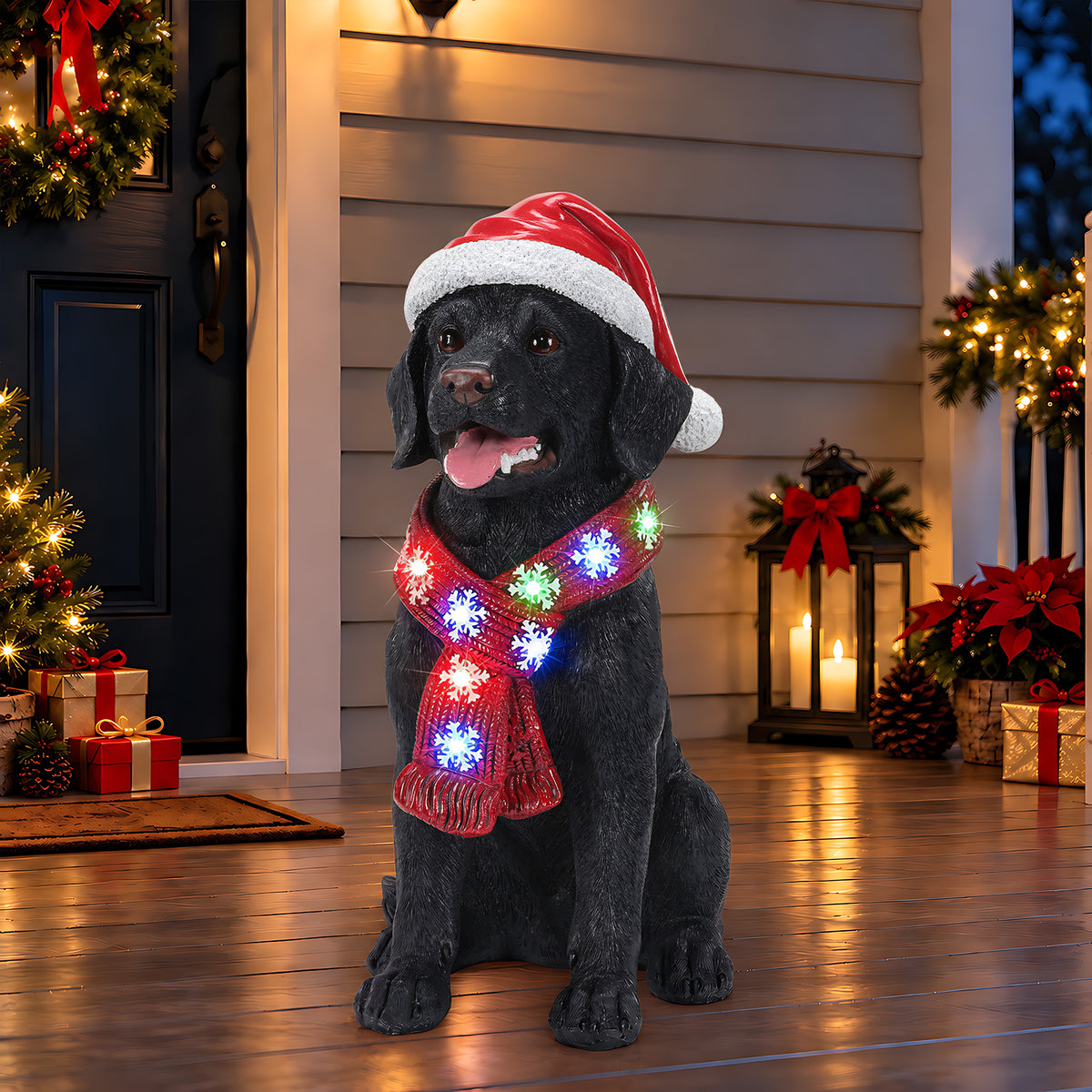 W5398P554215