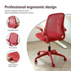Ergonomic Color Office Chair 350LBS