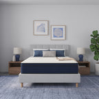 10 Inch Queen Size Medium Firm Euro Top Hybrid Mattress