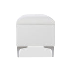 Madelyn 49" Modern Storage Bench, Bright