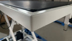 Professional Electric Pet Grooming Table