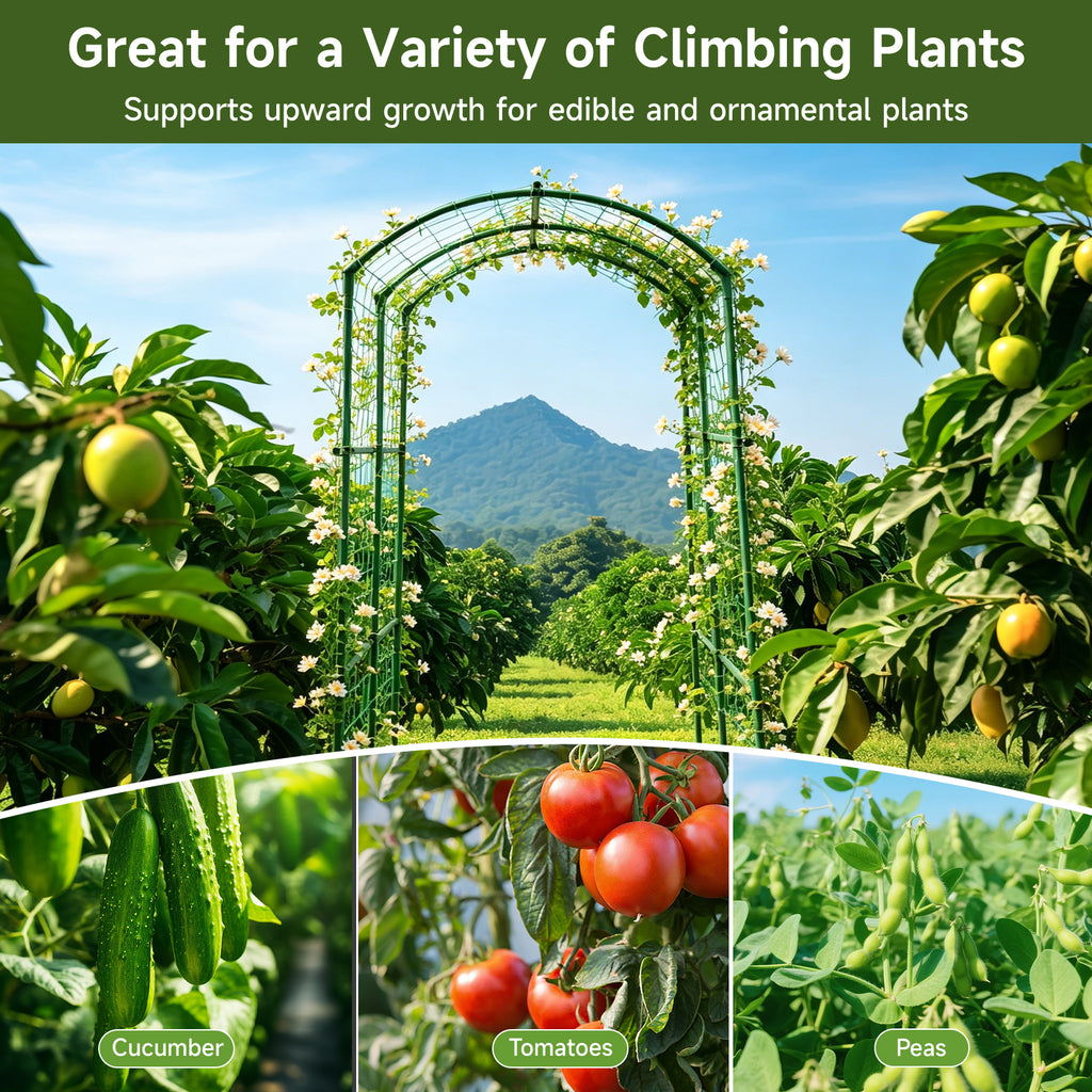 Heavy Duty 20mm Large Diameter Metal Cucumber & Loofah Trellis