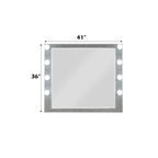 Sliverfluff Mirrored & Champagne Finish Mirror W/Light