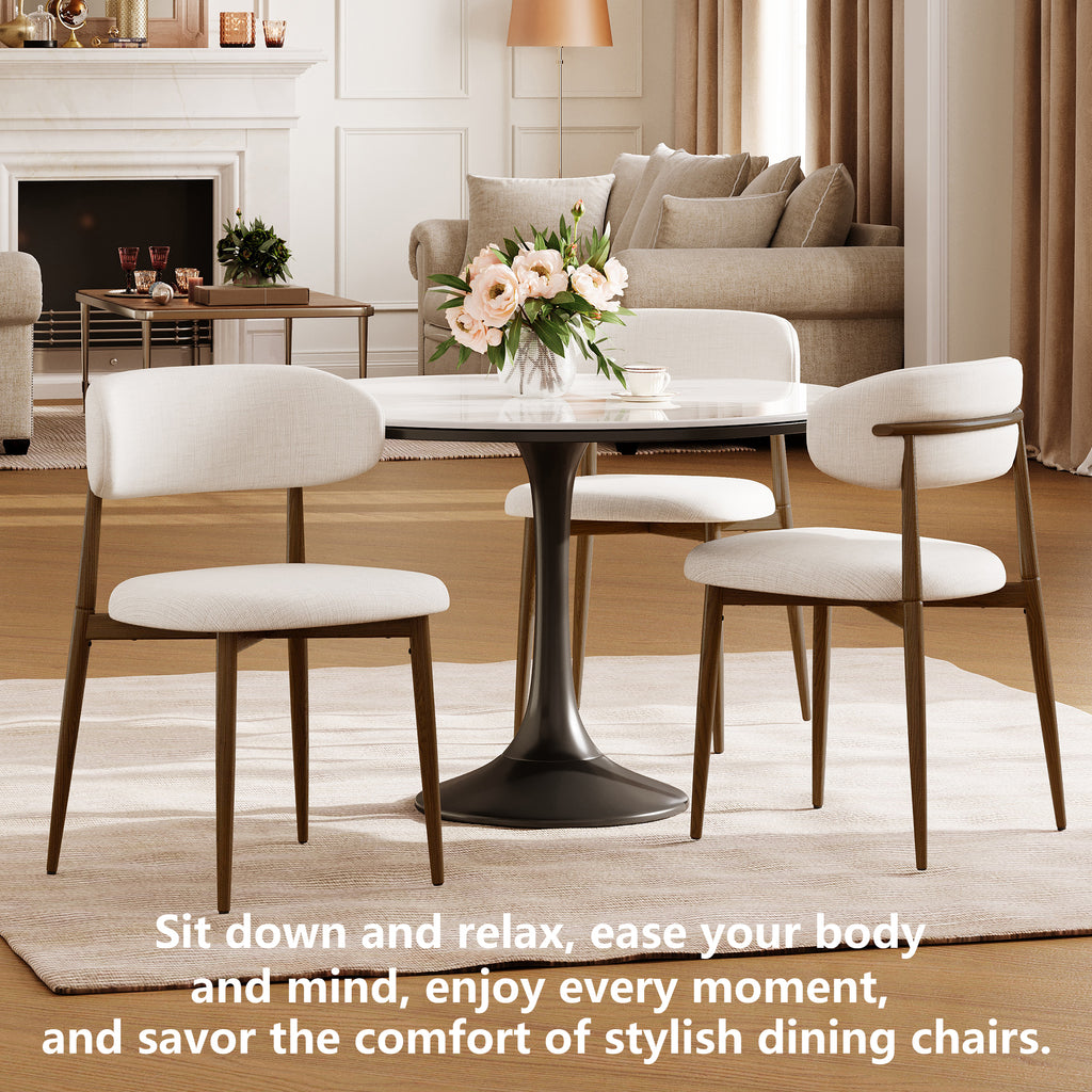 Dining Chairs Set of 2