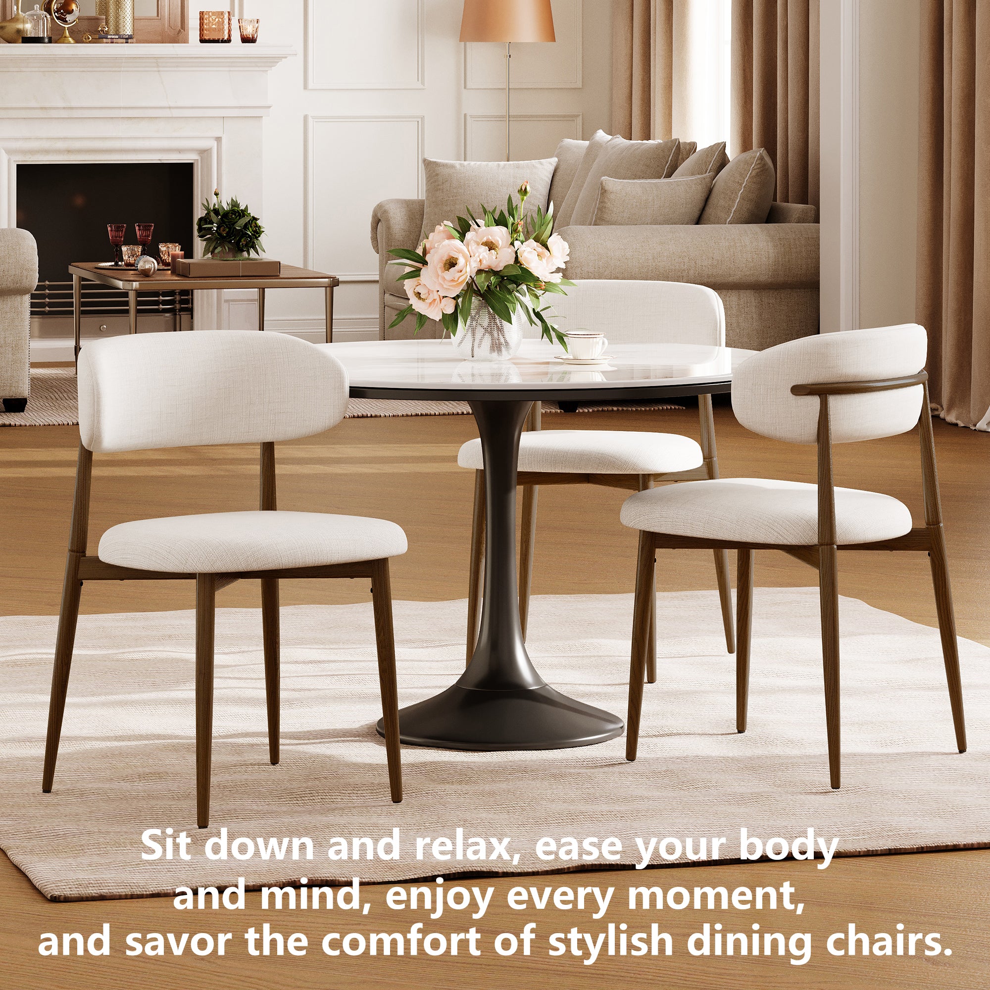 Dining Chairs Set of 2