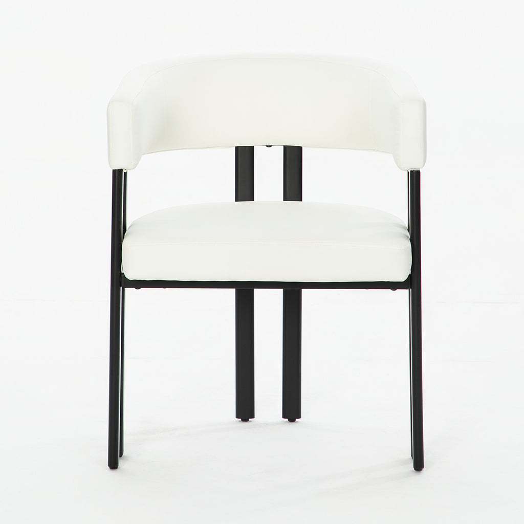 Modern Dining Chairs Set of 2