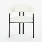 Modern Dining Chairs Set of 2