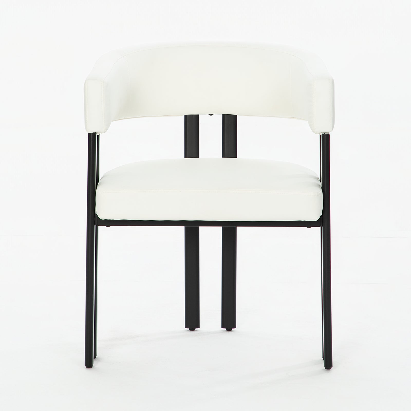 Modern Dining Chairs Set of 2