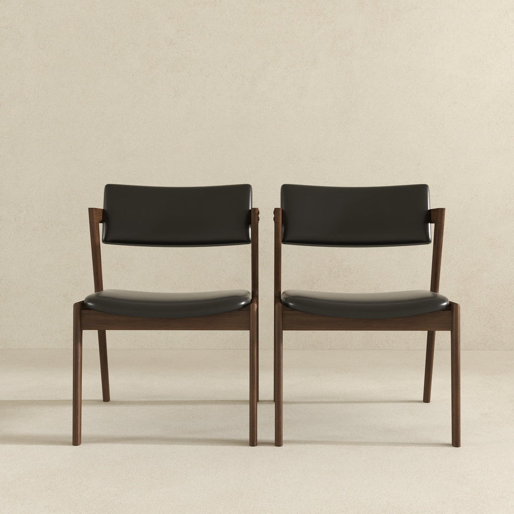 Edwin Mid Century Modern Kitchen Dining Chair (Set of 2)