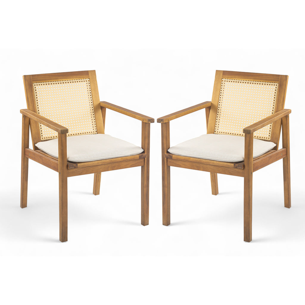 Preston Outdoor Dining Chair with Cushion (Set of 2)